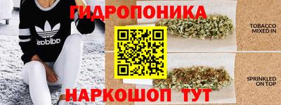 a pvp Бузулук