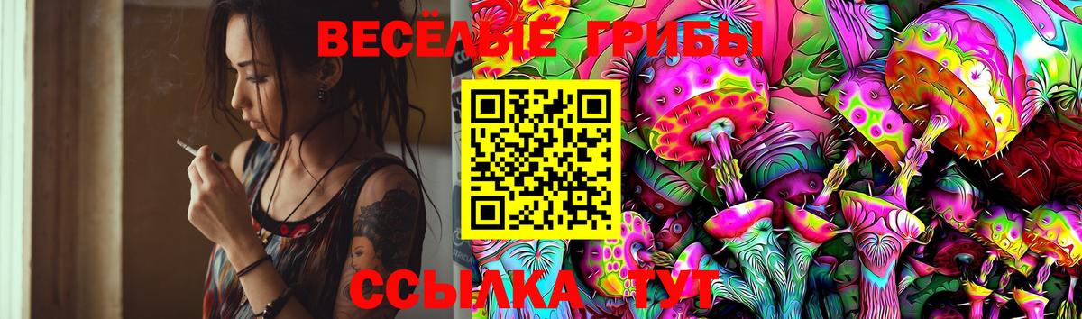 Псилоцибиновые грибы Cubensis Полысаево
